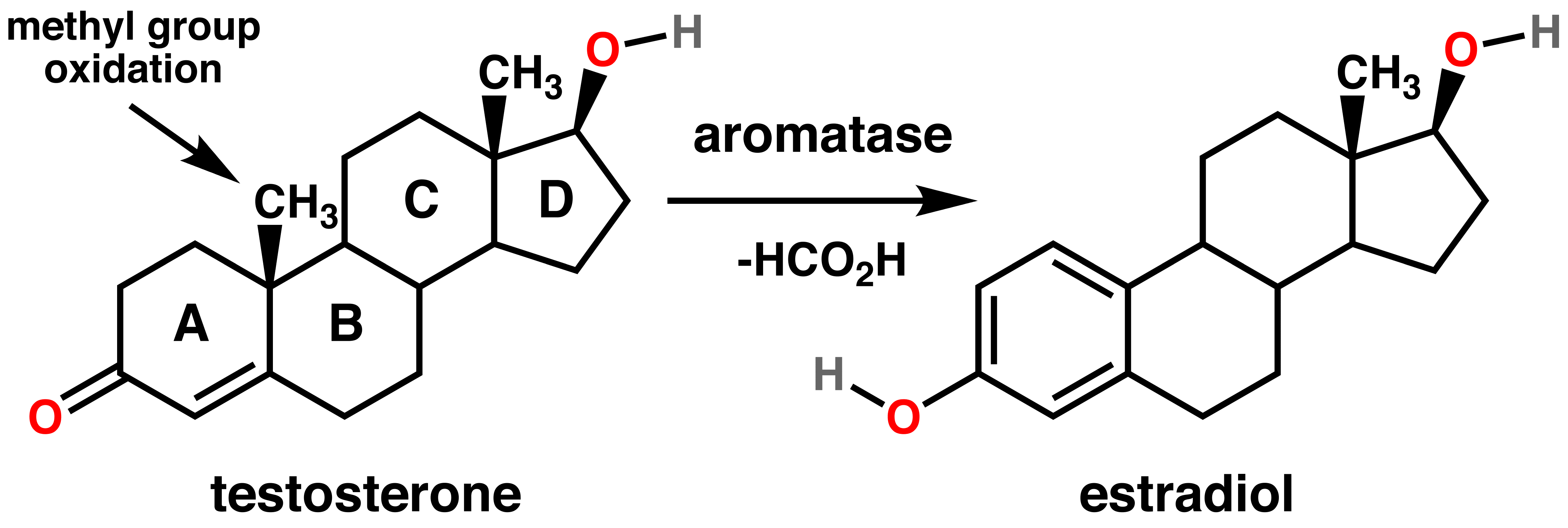 Ароматаза